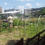 Final stop today was at the Ivy Tech Culinary College, students compost to use the produce in their classes! #funFacts #ircconf17