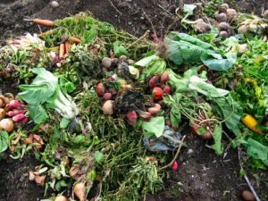 compost_heap